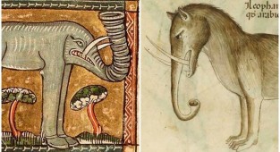 Как художники средневековья представляли себе слонов (16 фото)