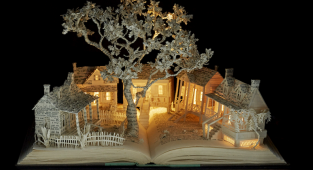 Художник превращает старые книги в сказочные царства (46 фото)