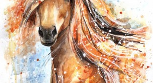 Лошади в акварельных рисунках елены швец (14 фото)