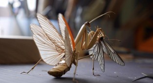 Невероятные скульптуры насекомых из бамбука (12 фото)