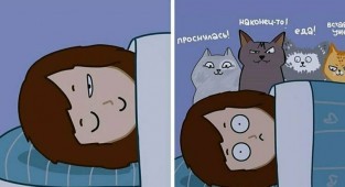Иллюстратор рисует комиксы о жизни с 4 кошками и раскрывает все их пушистые тайны (25 фото)
