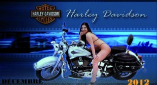Calendar Harley-Davidson 2012 (14 фото)