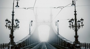 Хроники апокалипсиса: 29 фотографий из карантинного Будапешта (29 фото)