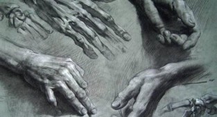 Академический рисунок ног и рук (9 работ)