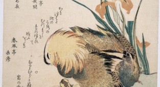 Kubo Shunman (Japanese, 1757–1820) (160 работ)