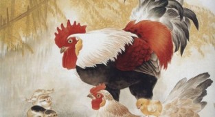 Китайская живопись – Петухи, куры, цыплята (33 работ)