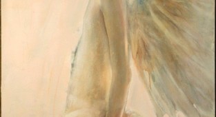 Ангелы Elvira AMRHEIN (22 работ)
