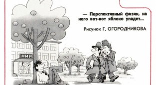 Художник - иллюстратор Герман Иванович Огородников (74 работ)