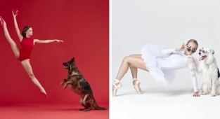 Артисты балета и собаки позируют вместе для фотосессии, и результат сделает ваш день! (41 фото)