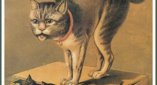 Кошки: старинные иллюстрации (23 работ)