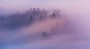 Горы в тумане - красивейшее зрелище на Земле (12 фото)