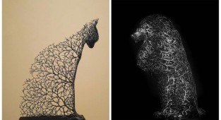 Фантастические скульптуры животных от Кан Дон Хёна (11 фото)