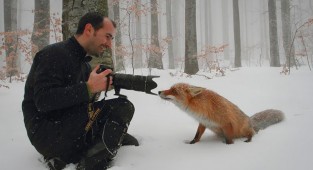 Фотограф дикой природы - это лучшая работа в мире! (26 фото)