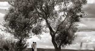 Свадебная фотография как искусство. Фотограф Татьяна Тихомирова (108 работ)