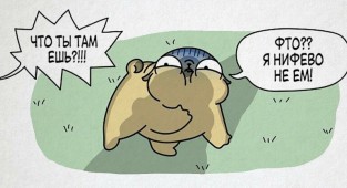 Очаровательные комиксы, которые расскажут о жизни с мопсом (17 фото)