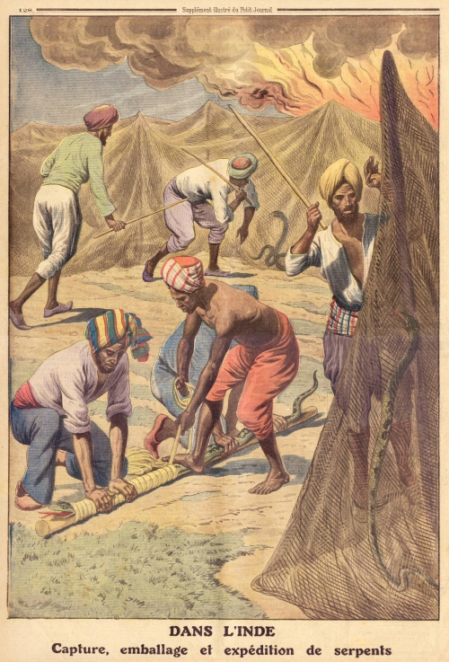 Иллюстрации из газеты "Le Petit Journal" (1911-1914) (14 картинок)
