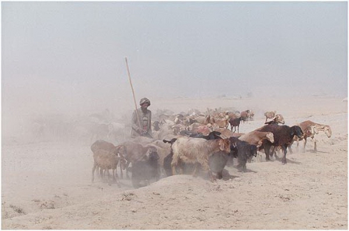 Фотожурналист Сергей Максимишин. Афганистан, окт. 2001 (36 картинок)