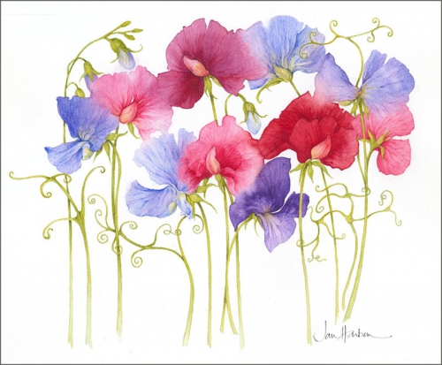 Цветочки Джен Харбон (80 работ)