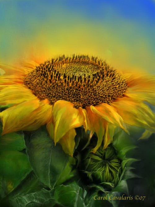 http://nevsepic.com.ua/uploads/posts/2011-05/thumbs/1306778400_www.nevsepic.com.ua_24_sunflower_pic.jpg