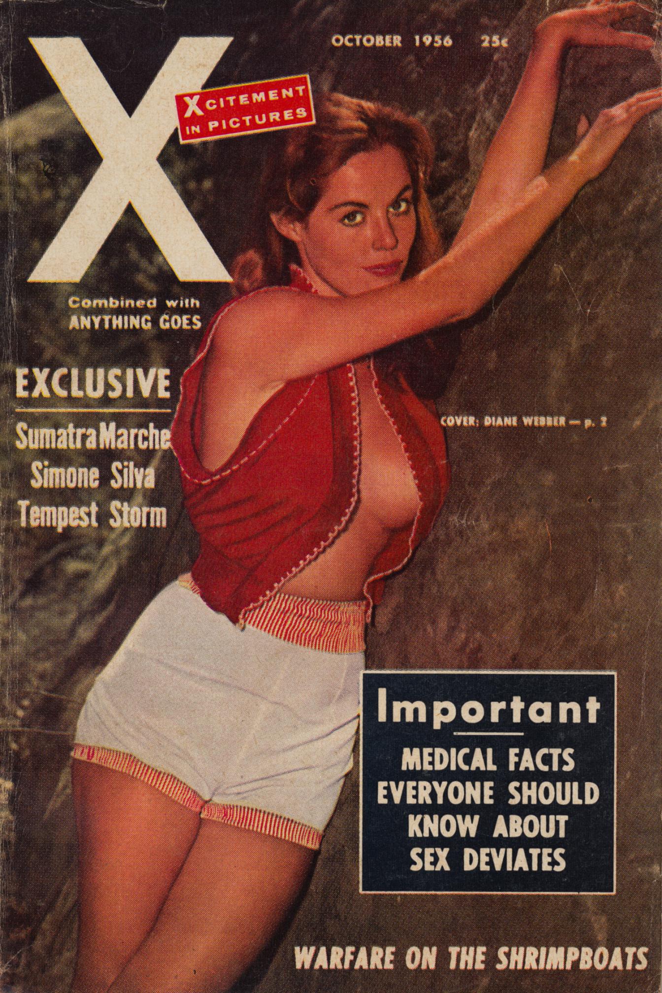 Обложки старых журналов Covers of old magazines 82 страниц