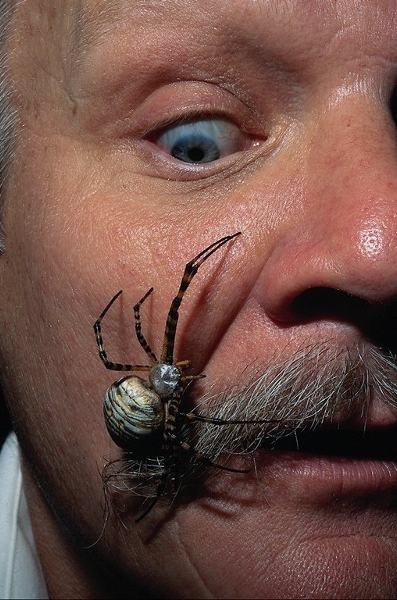 Окружающий мир через фотообъектив - Пауки и другие беспозвоночные (Arachnoideus&Other invertebrates) Часть 2 (134 фото)