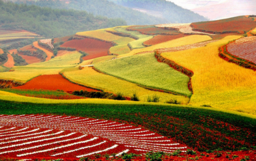 Радуга на земле. Dongchuan Red Soil (58 работ)