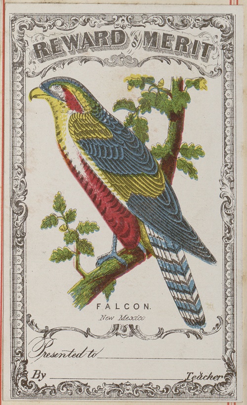 School reward cards. Ohio Gibson & Co., 1873 (94 работ)