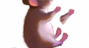 Миші – кліпарти до нового року