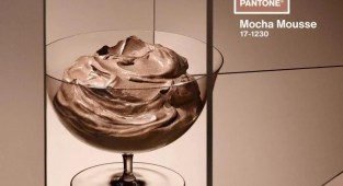 Институт цвета Pantone выбрал цветом 2025 года Mocha Mousse (3 фото)