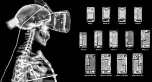 Фотограф с помощью рентгеновских снимков показал «начинку» современной техники (24 фото)