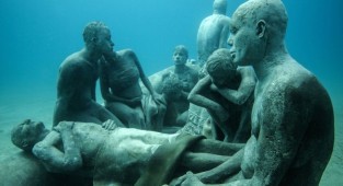 Museum of underwater sculptures in the Canaries. Sculptor Jason deCaires Taylor (10 photos)