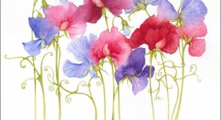 Flowers Jen Harbon (80 works)