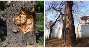 Romanian artist creates wooden miracles with a chainsaw (19 photos)