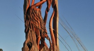 Дерев'яні скульптури від Jeffro Uitto (6 фото)