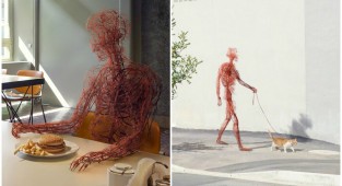 "Человек, несмотря ни на что": проект о жизни нашей кровеносной системы (8 фото + 1 гиф)