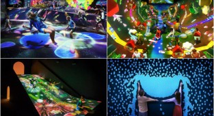 Новаторский музей цифрового искусства в Токио (19 фото)