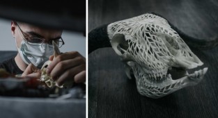 Румынский резчик по кости превращает черепа в произведения искусства (16 фото)