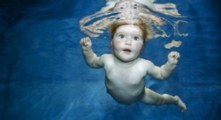 Babies underwater... Photographer Phil Shaw (19 photos)