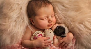 Трогательные фотографии новорожденных в обнимку с маленькими зверюшками (15 фото)