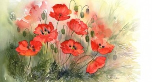 Watercolors by Rachel McNaughton (40 works)