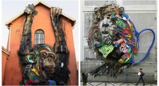 Художник створює величезні фігури тварин зі сміття (31 фото)