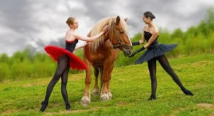 Ballet, grace, and passion in the works of Romanian photographer Akira Enzeru (25 photos)