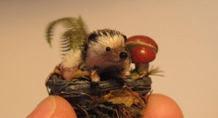 Удивительные реалистичные миниатюры животных (10 фото)