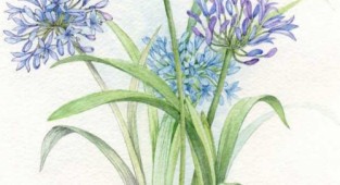 Квіткове від Anne Marie Patry-Belluteau (41 робіт)