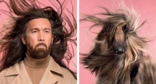 Британский фотограф сделал забавную серию снимков, в которой наглядно показал сходство собак и их хозяев (9 фото)