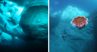 Под вершиной айсберга: впечатляющие фотографии Тобиаса Фридриха (12 фото)