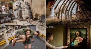 Лучшие фотографии 2019 года по версии National Geographic (13 фото)