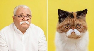 17 портретов кошек и людей, невероятно похожих друг на друга (18 фото)