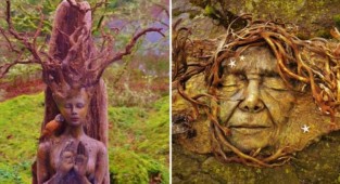 Художник оживляет дерево и рассказывает истории древних духов (17 фото)