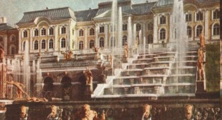 Petrodvorets (16 postcards)